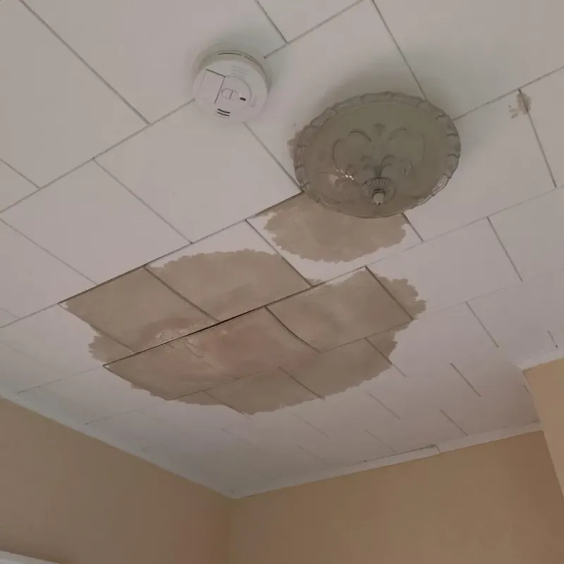 Ceiling Water Damage Repair in Pine Island Center, FL